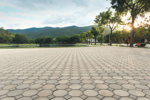 Best Residential Paver Driveway  in Wahpeton, ND