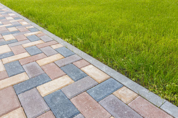 Best Local Driveway Pavers  in Wahpeton, ND